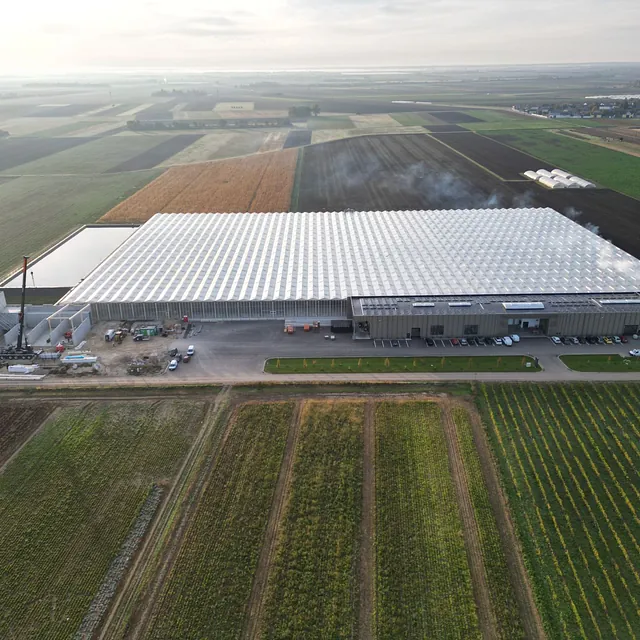 Veganis, St.Andrä, Neubau Bio-Blockheizkraftwerk