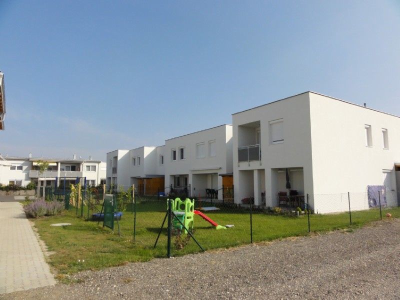 Neubau OSG-Illmitz 4 Wohnblöcke u. 5 Reihenhäuser